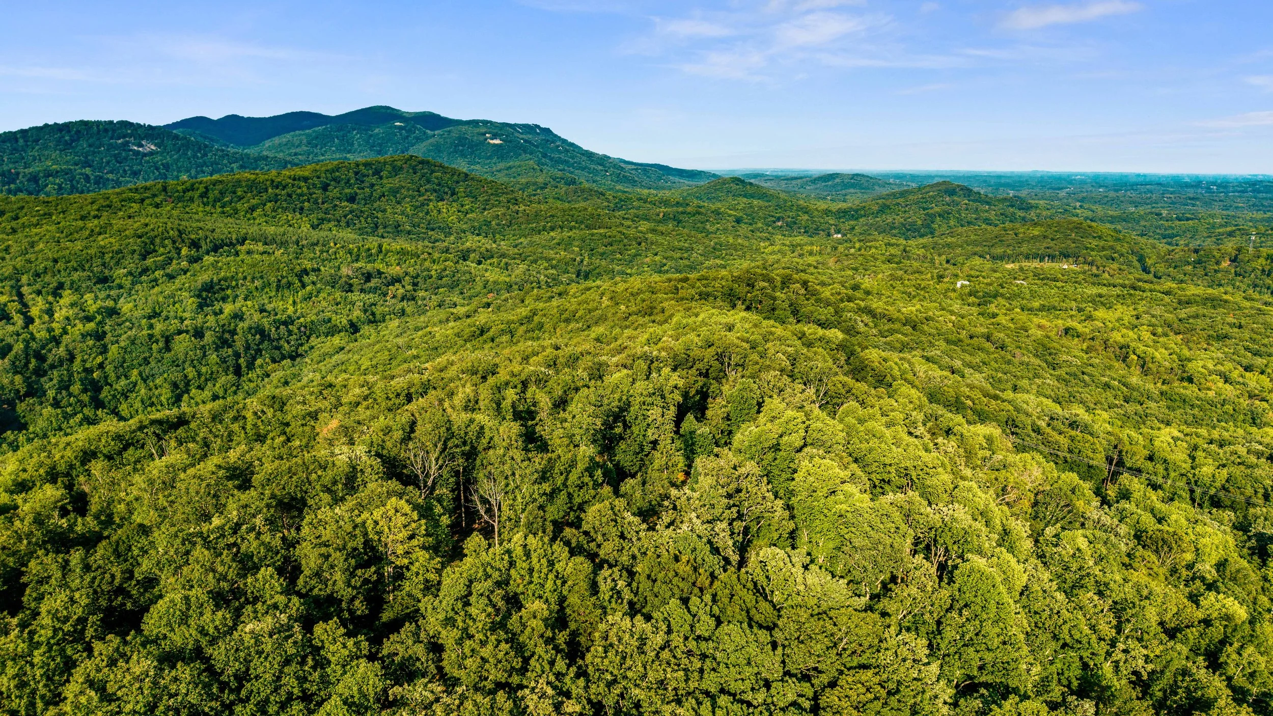 DJI_20260812181317_0659_D.jpg