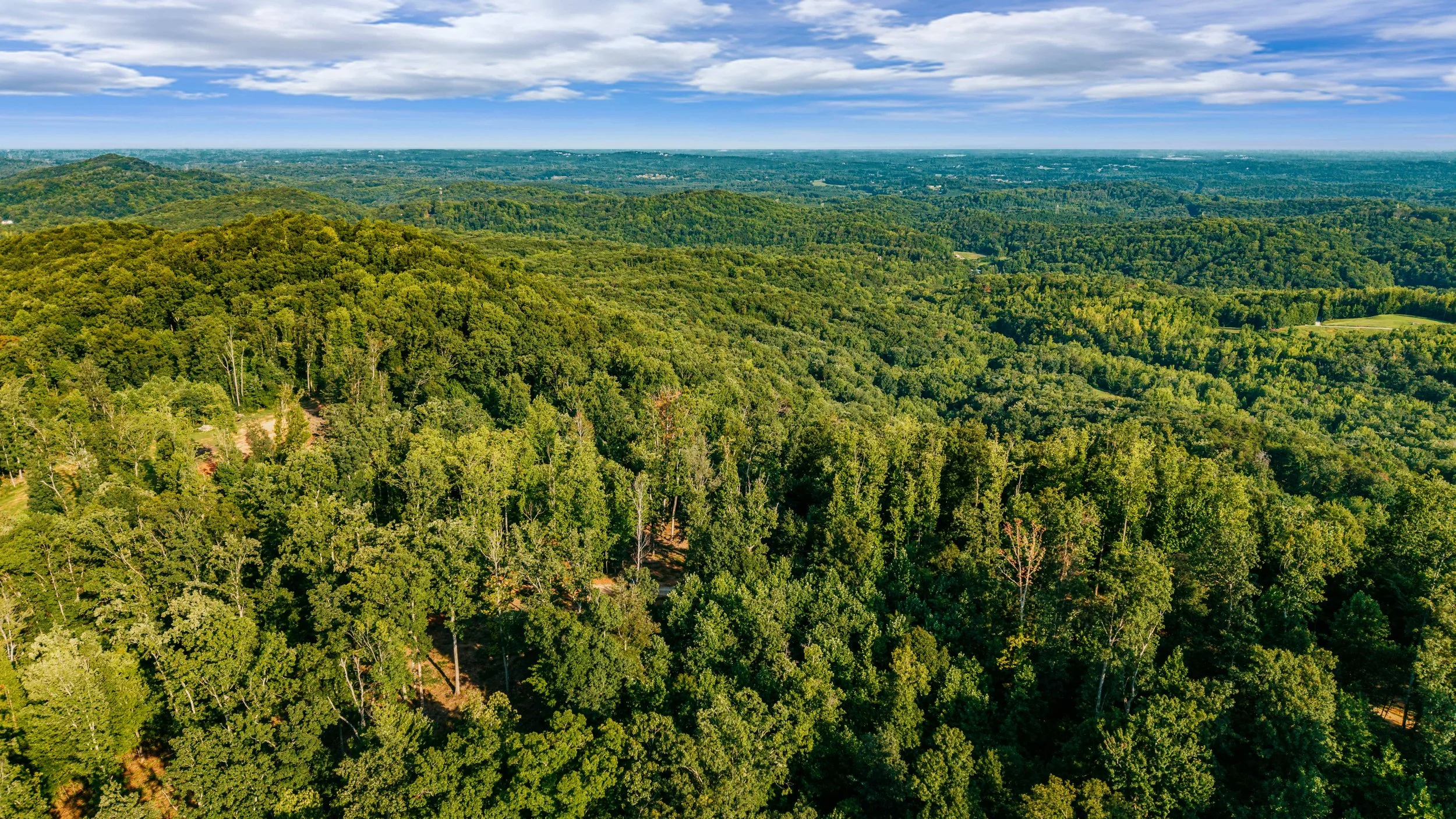 DJI_20260812181725_0674_D-.jpg
