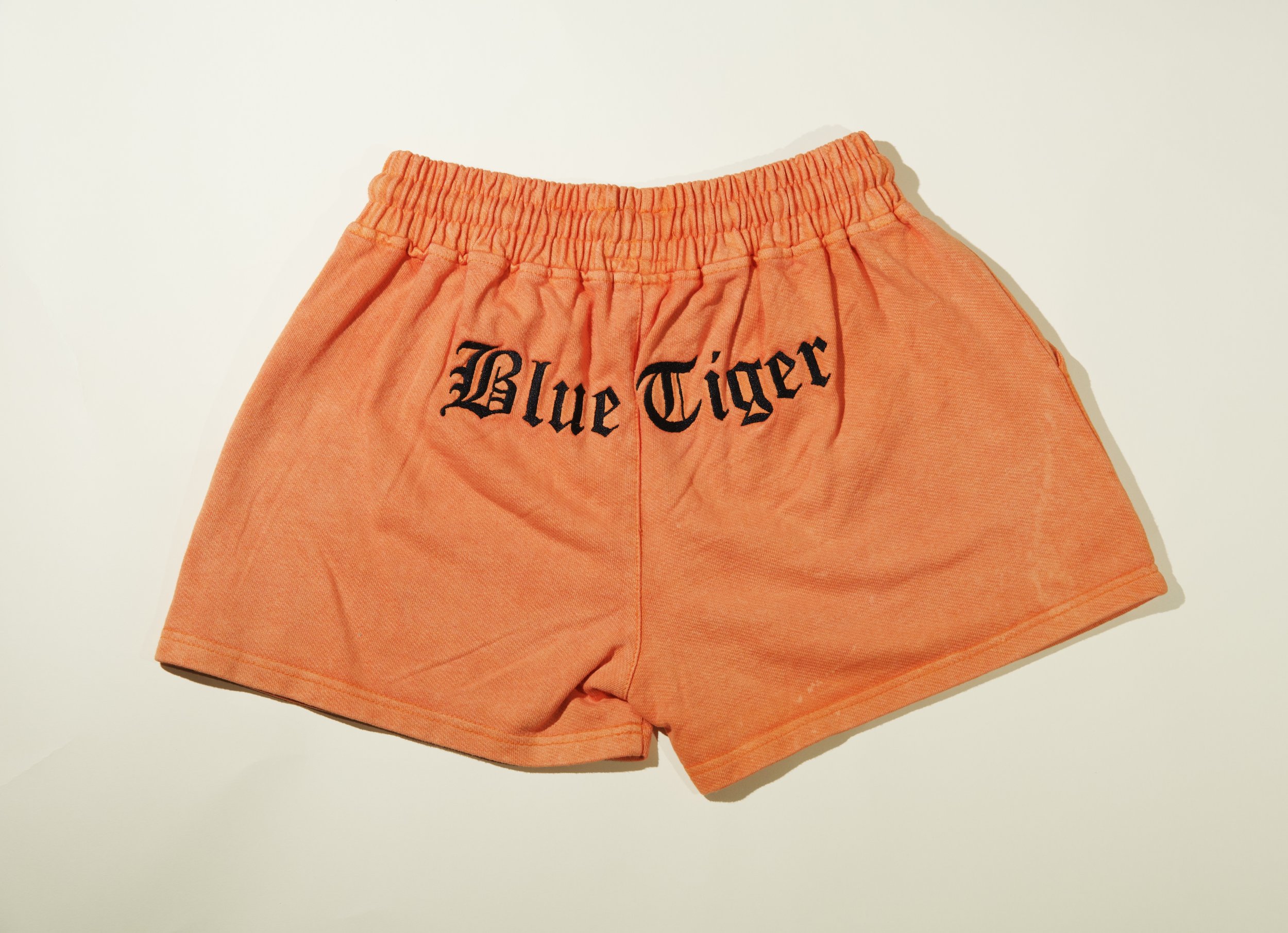 BLUE TIGER SHORTS (BACK, W).jpg