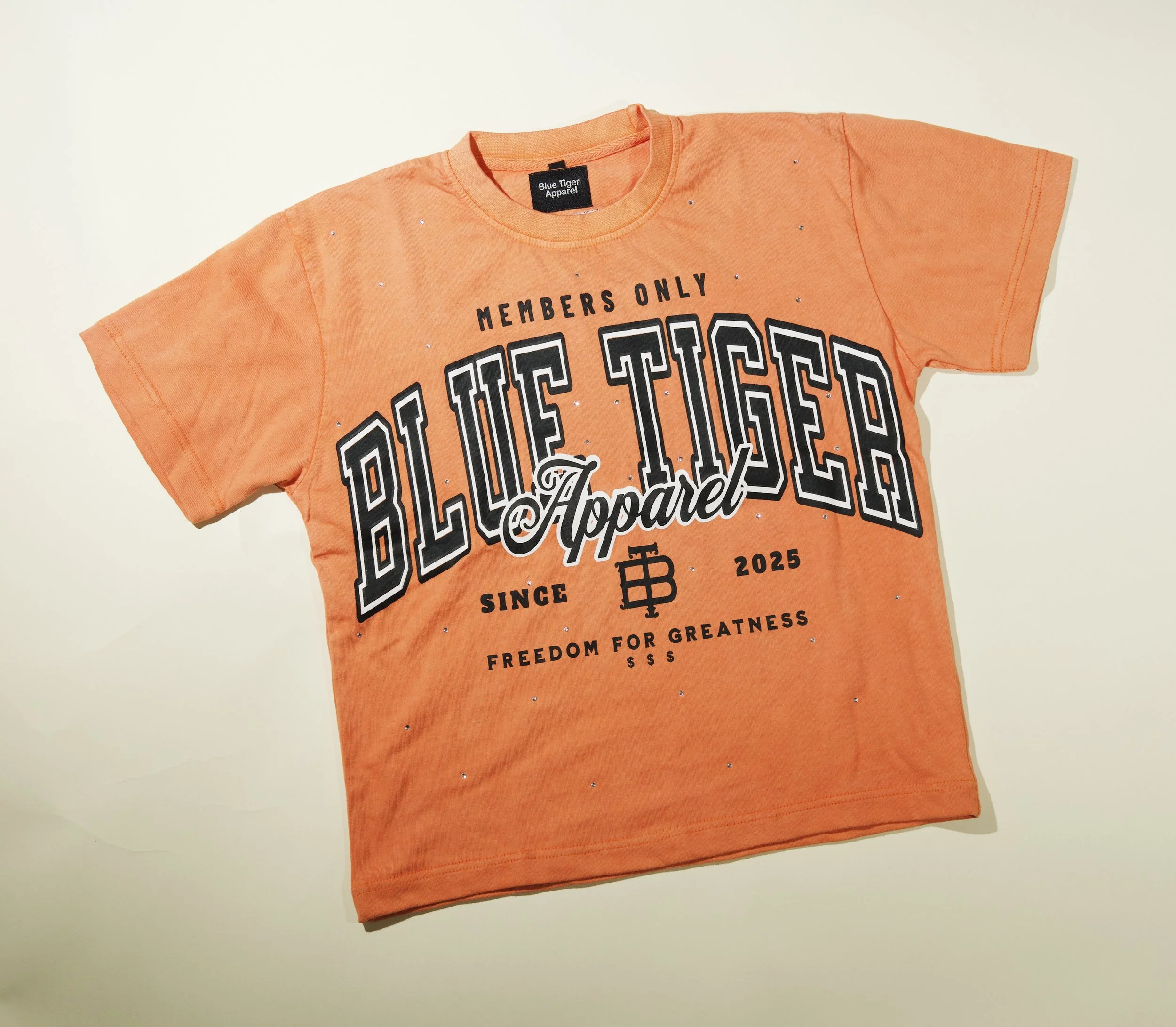 BLUE TIGER SHIRT (FRONT, W).jpg