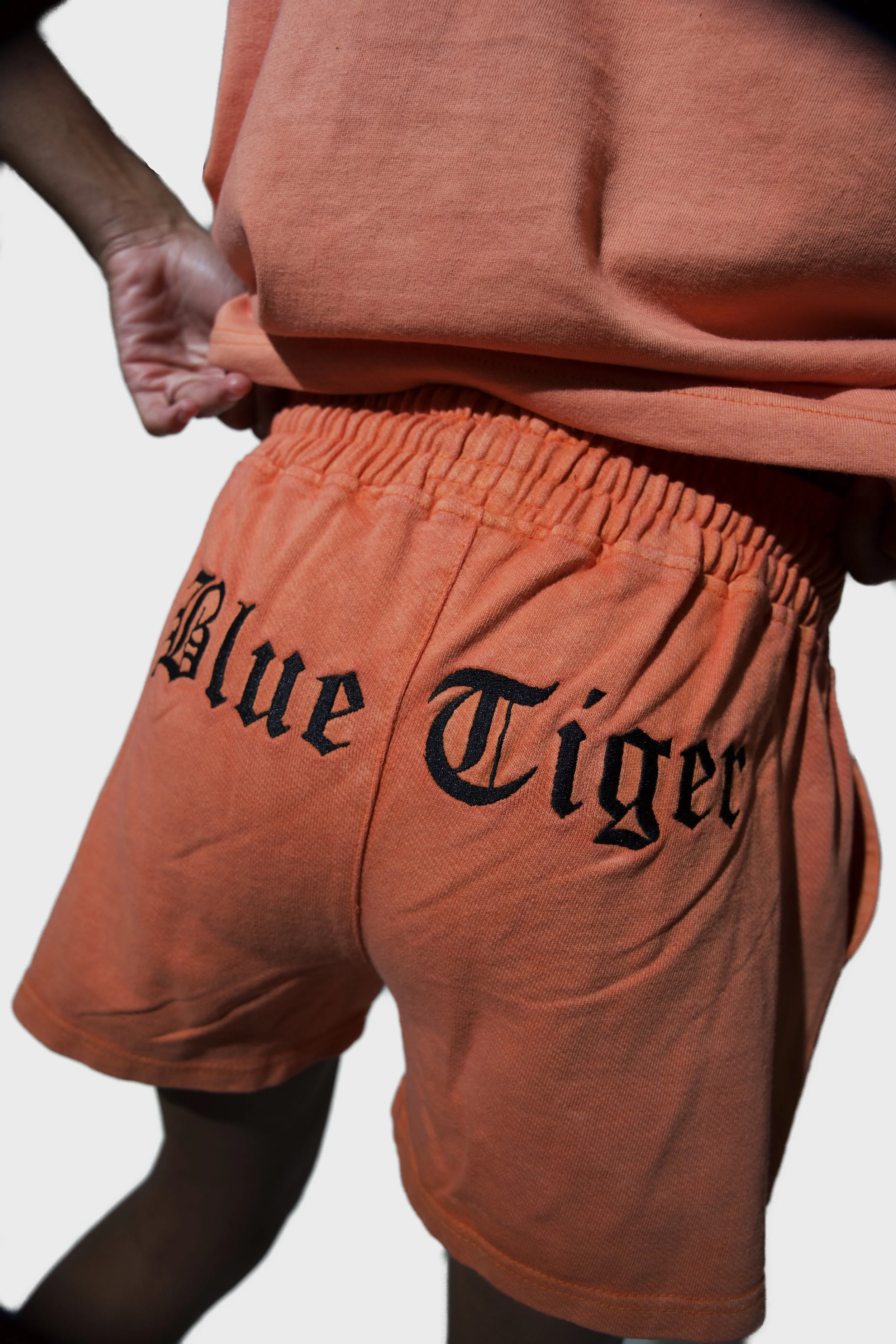 Blue Tiger " Member's Only" Shorts