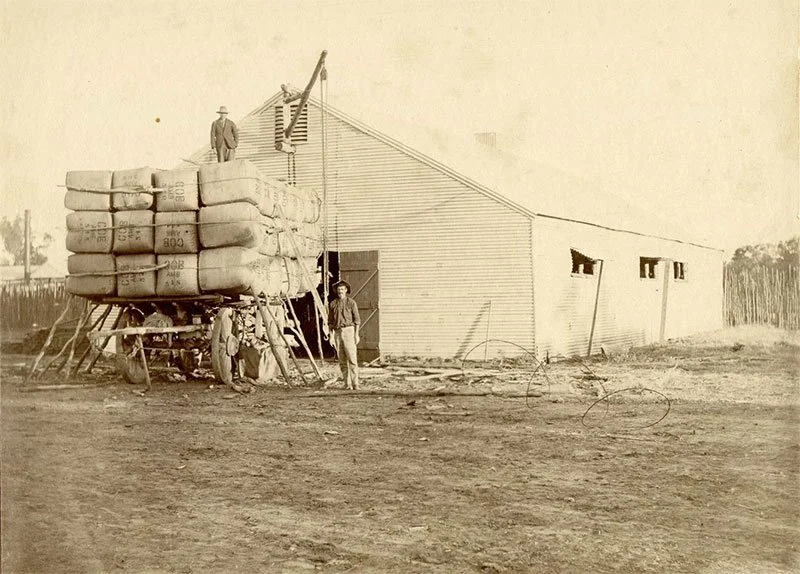 Cobb &amp; Co Wool Transport