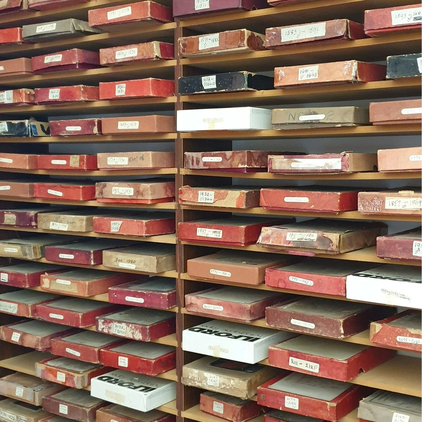 Wooden shelves filled with organized, labeled boxes of various sizes, mostly red and white, containing geological or archival samples.