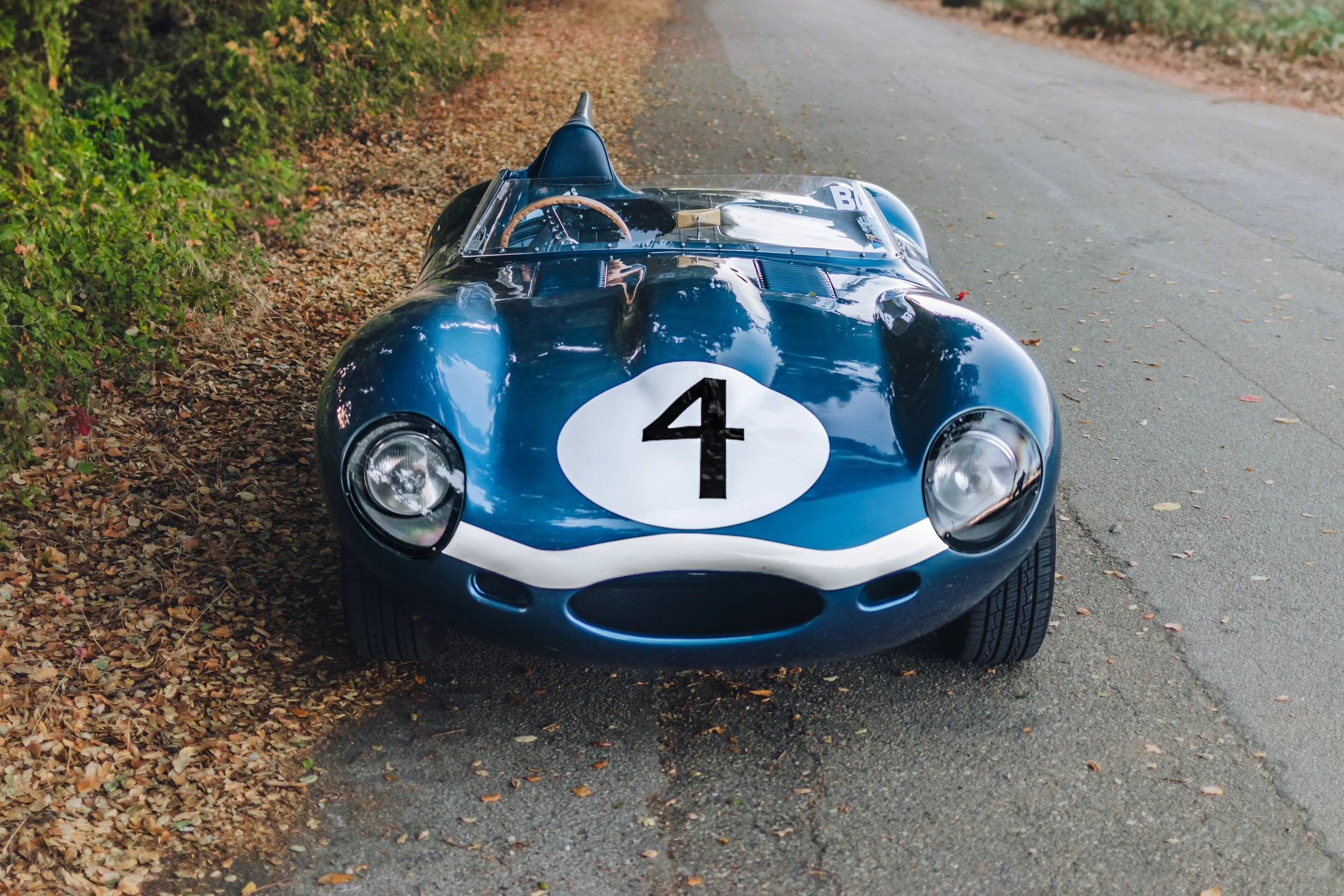 D Type_17.jpg