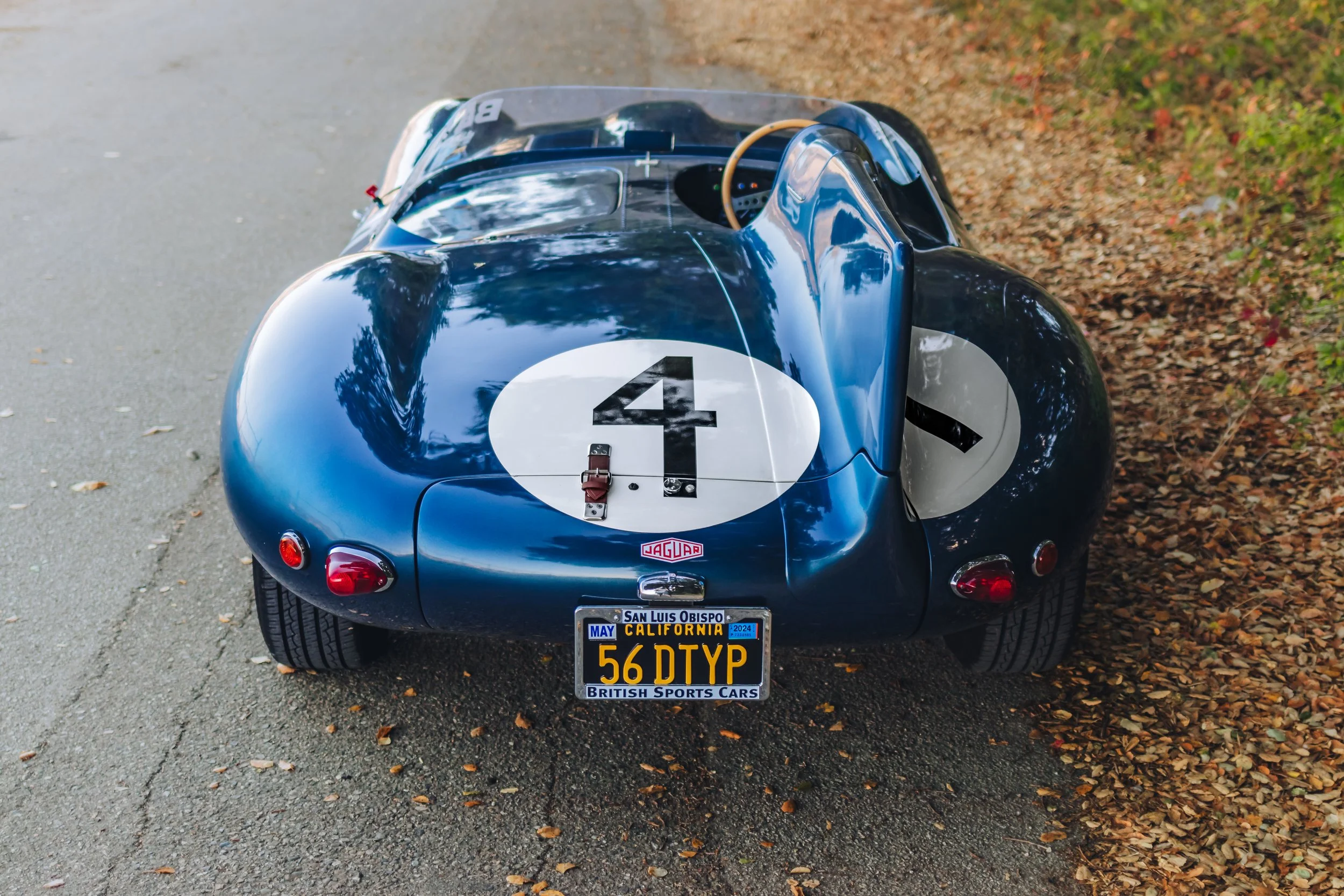 D Type_18.jpg
