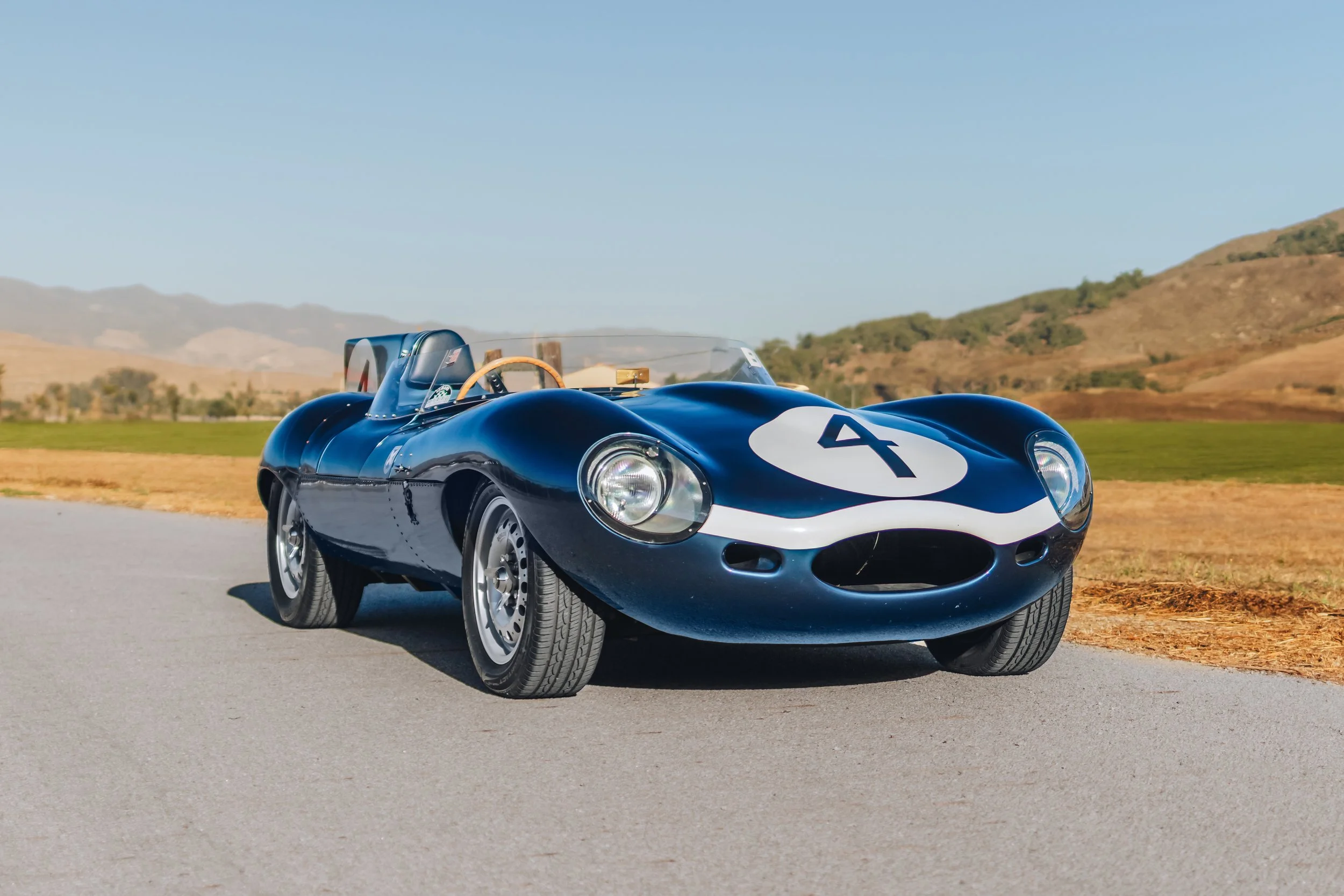 D Type_6.jpg