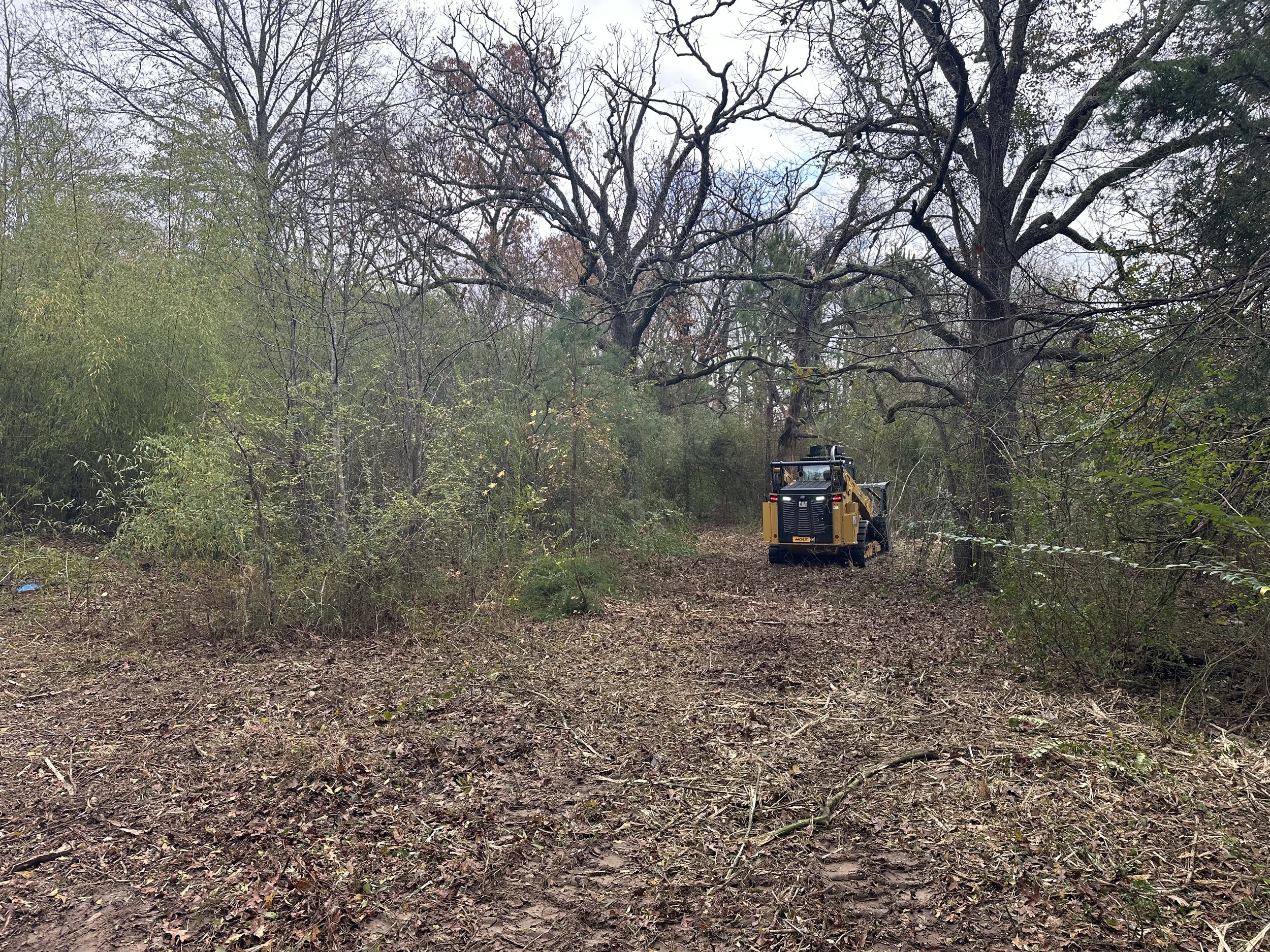 Photo Dec 18 2025, 09 25 21.JPG