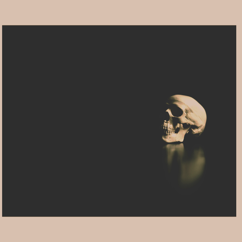 A human skull reflected on a dark, glossy surface with a black background