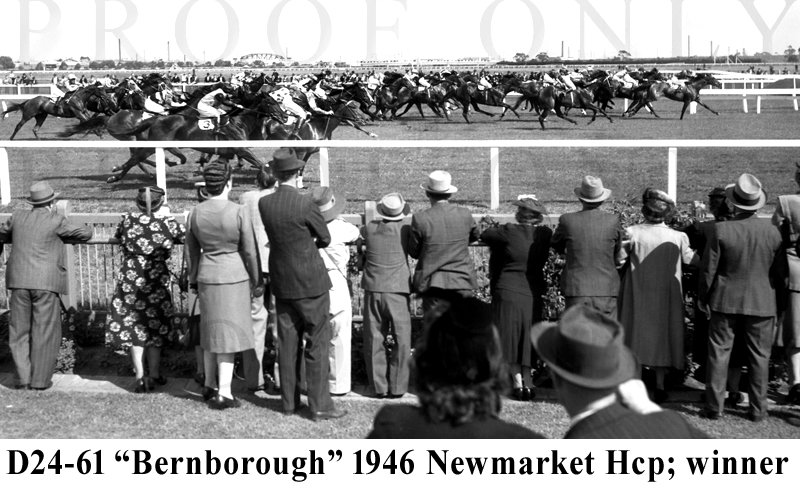 D24-61 Bernborough Newmarket 1946.jpg