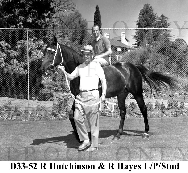 Lindsay Park Stud D33-52.jpg