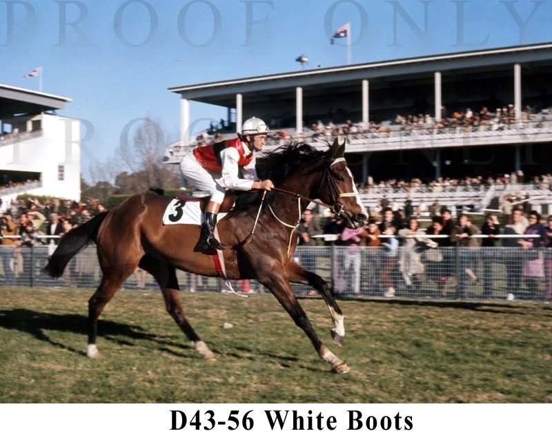 White Boots D43-56.jpg