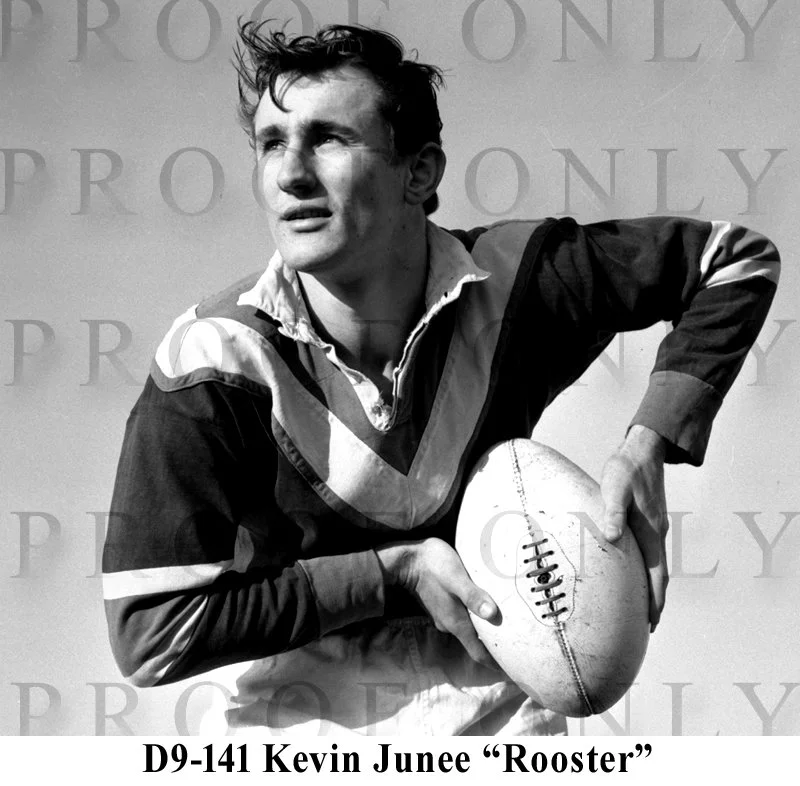 D9-141 Rooster Kevin Junee.jpg