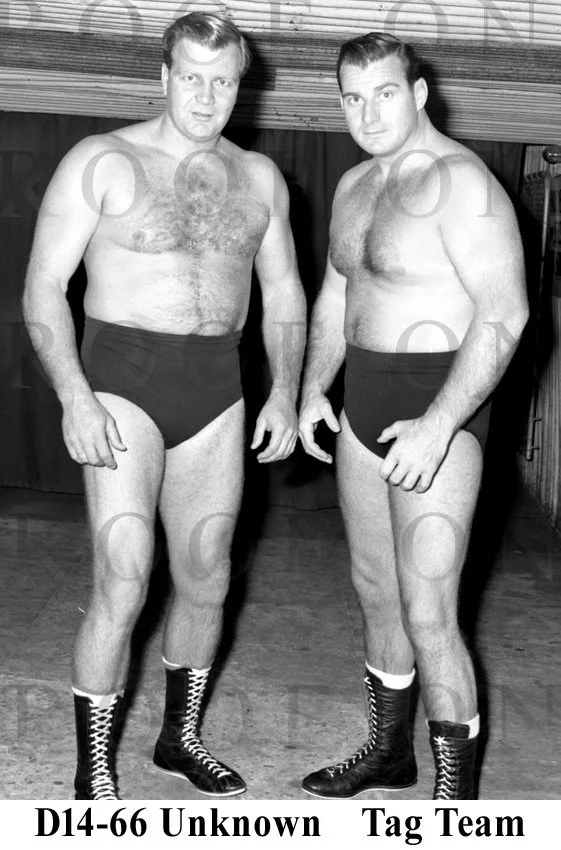 D14-66 Tag Team.jpg