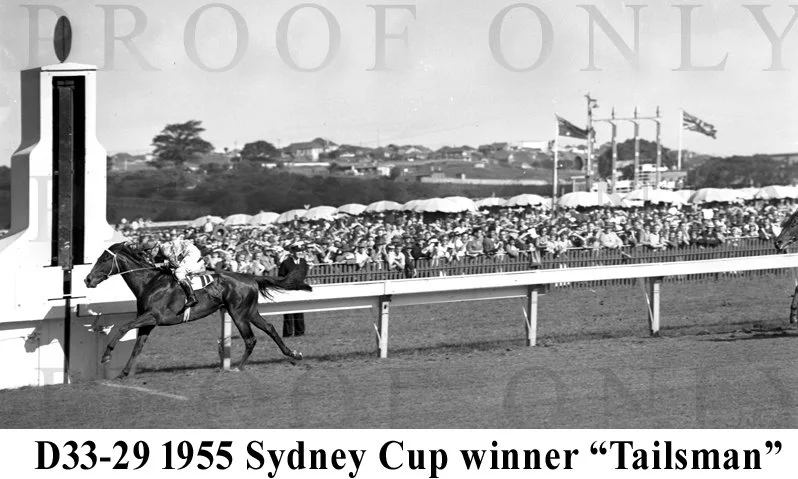 Sydney Cup 1955 Tailsman D33-29.jpg
