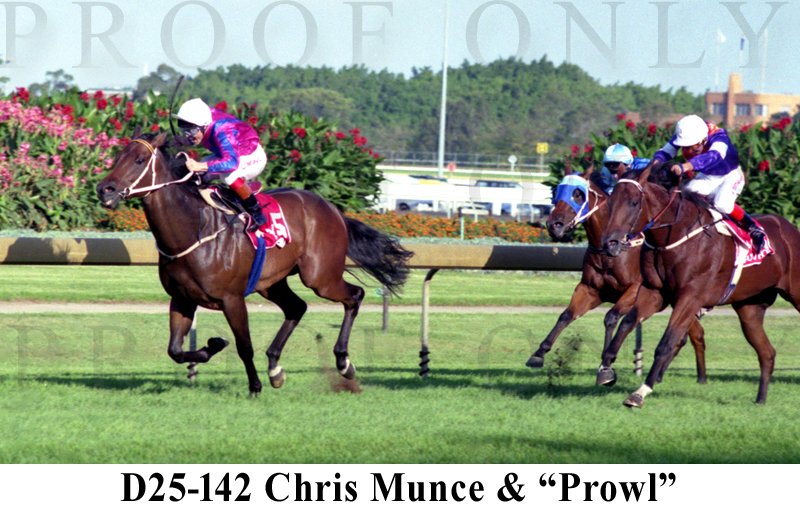 D25-142 Prowl & Munce 1998 Slipper Winners.jpg