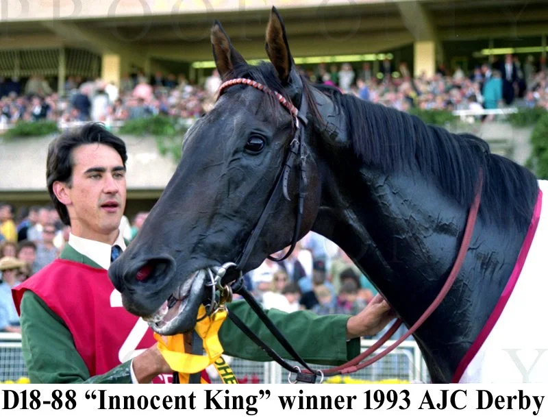 D18- 88 Ajc Derby 1993 Innocent King.jpg