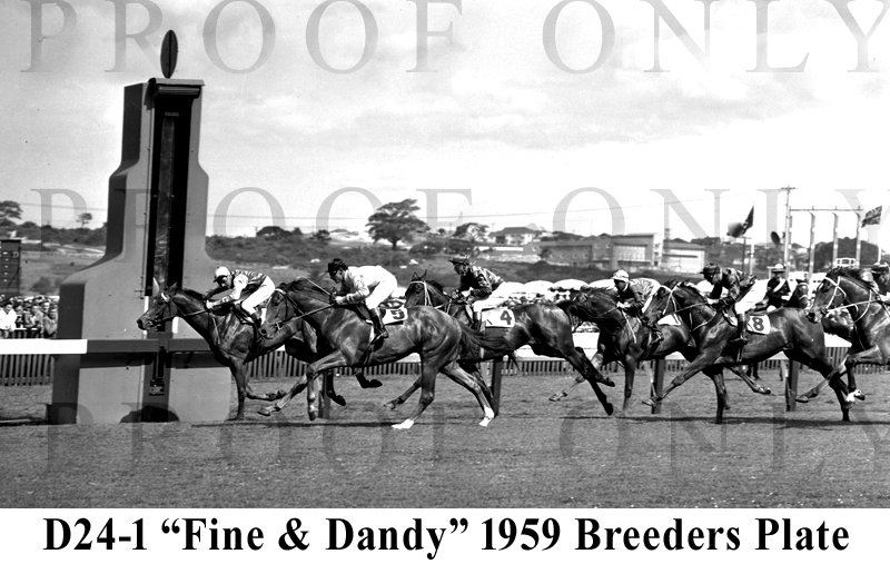 D24-1 Fine & Dandy 1959 Breeders Plate.jpg
