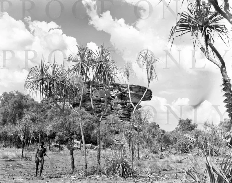 D27-37 Arnham Land The Nomad