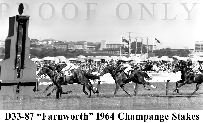 Champange Stakes 1964 D33-87.jpg