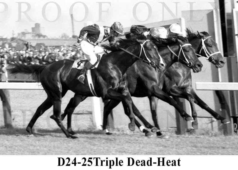 D24-25 Triple Dead-Heat.jpg