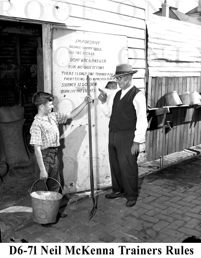 D6-71 Neil McKenna Trainers Rules.jpg