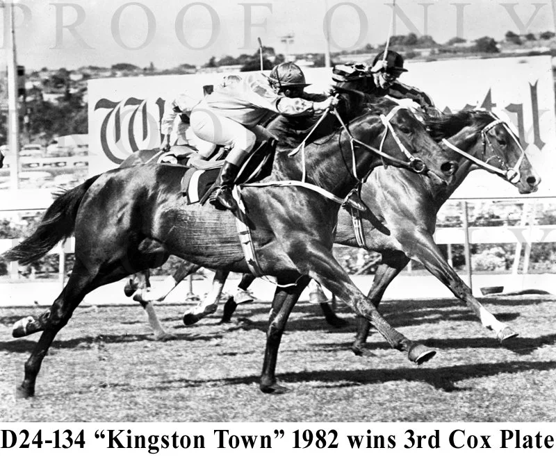 D24-134 Kingston Town Cox Plate.jpg