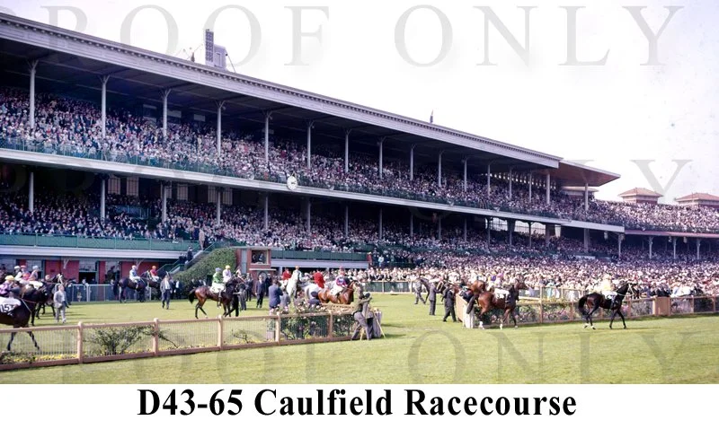Caulfied Racecourse  D43-65.jpg