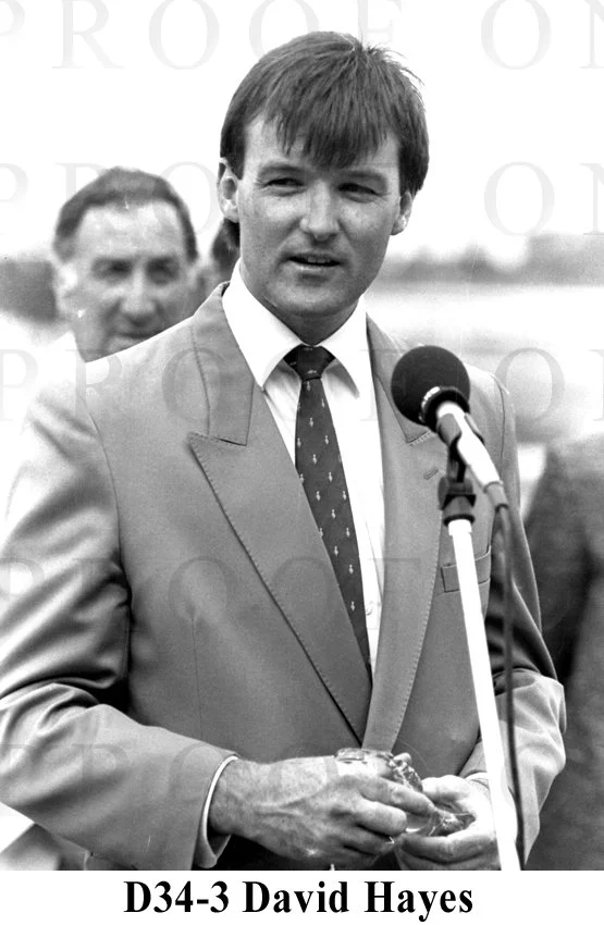 Hayes David D34-3.jpg
