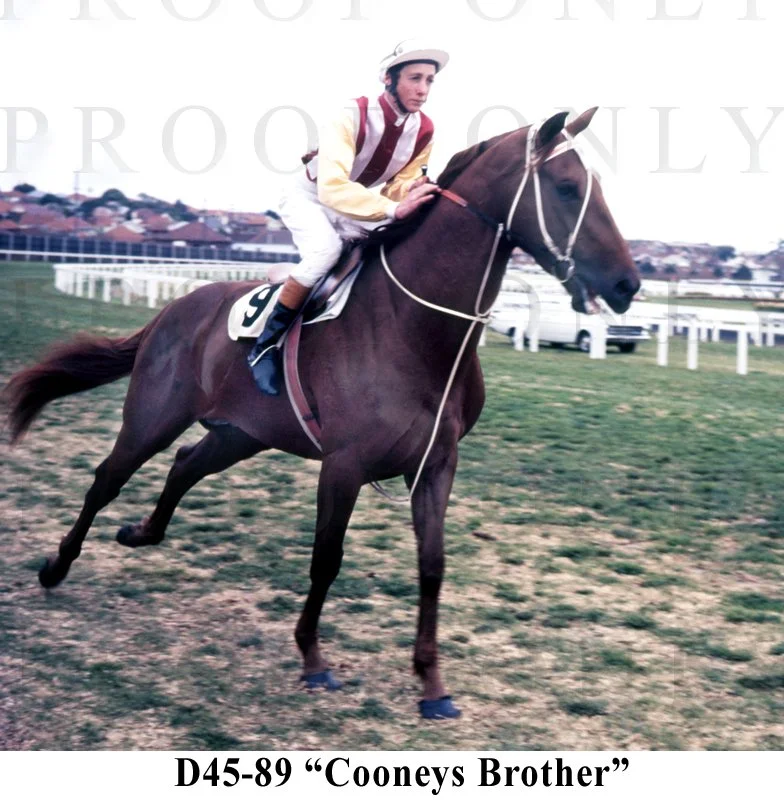 Cooneys Brother D45-89.jpg