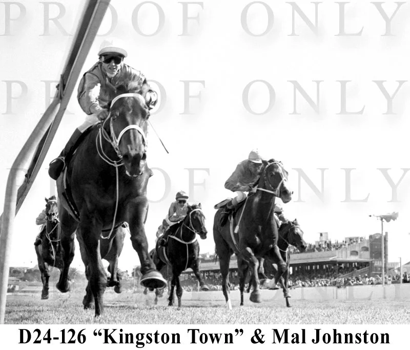 D24-126 Kingston Town.jpg