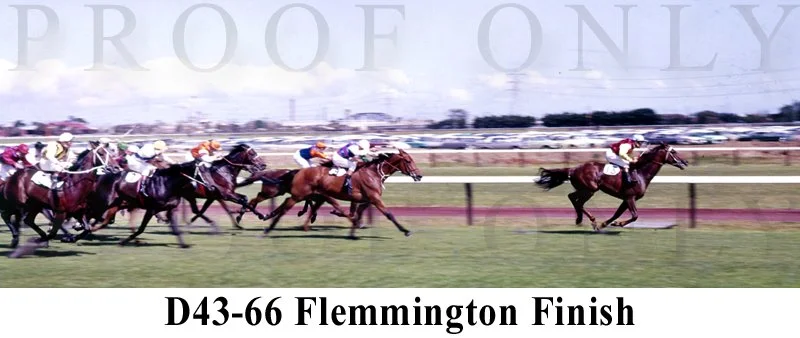 Flemington Finish  D43-66.jpg