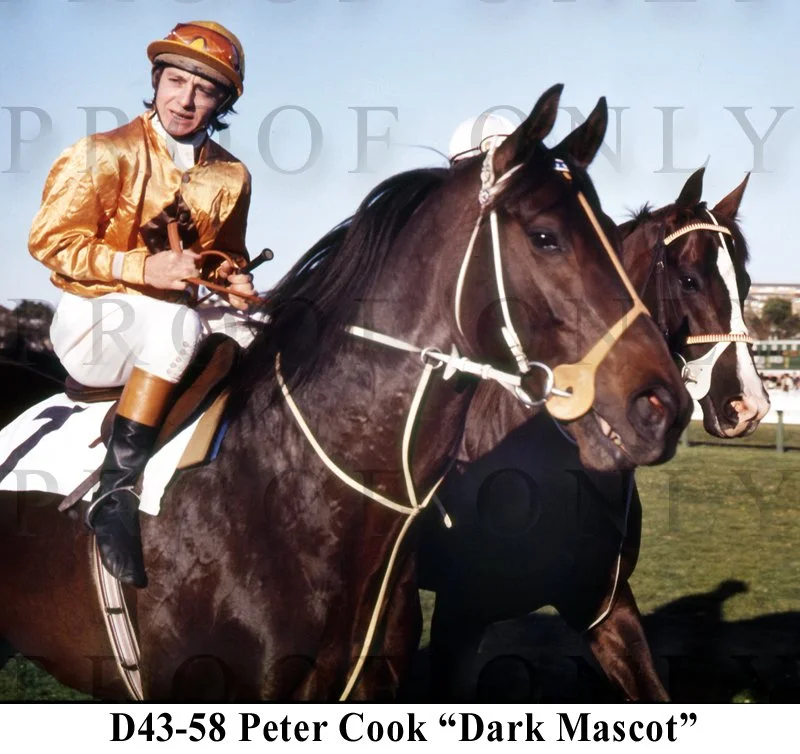 Dark Mascot P Cook D43-58.jpg