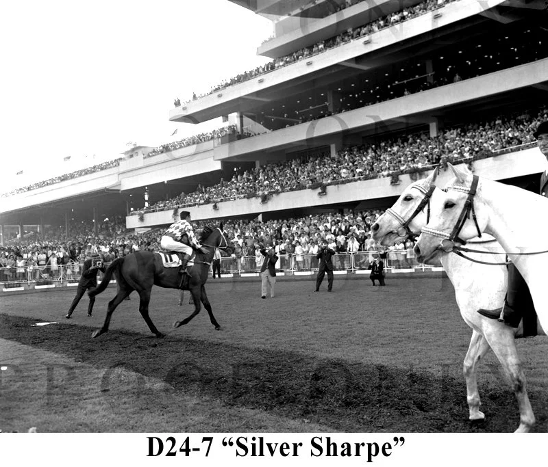 D24-7 Silver Sharpe.jpg