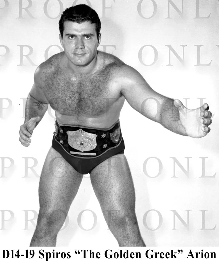 D14-19 Spiros Arion.jpg