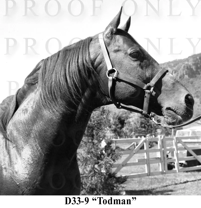Todman D33-9.jpg