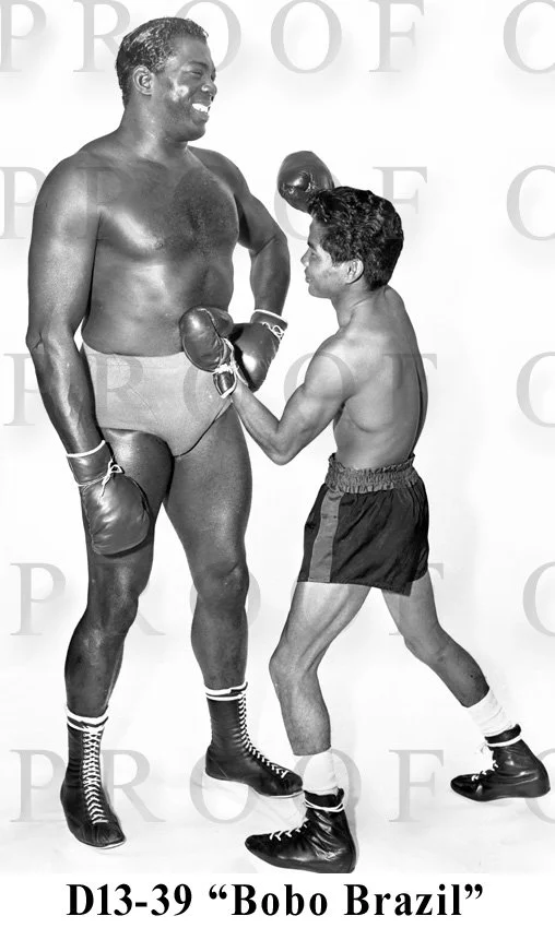 D13-39 Bobo Brazil.jpg