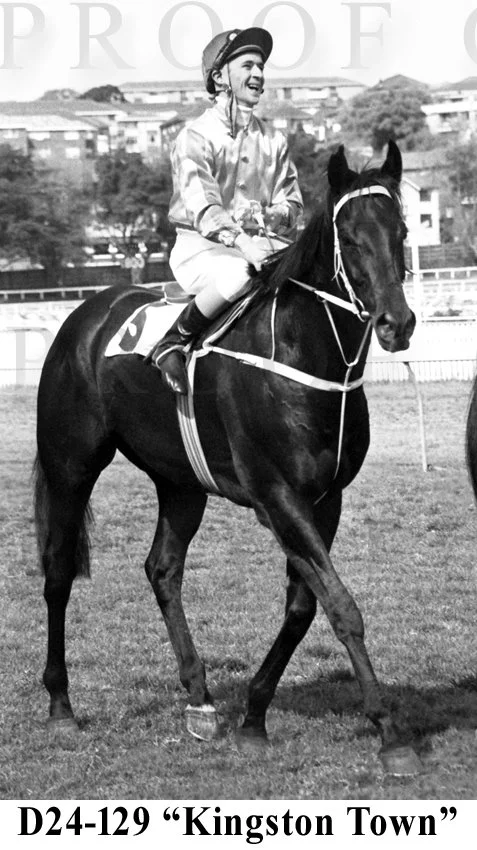 D24-129 Kingston Town.jpg
