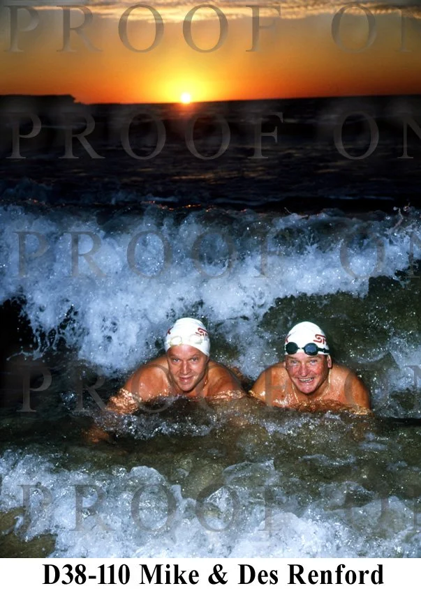 Renford Des D38-110.jpg