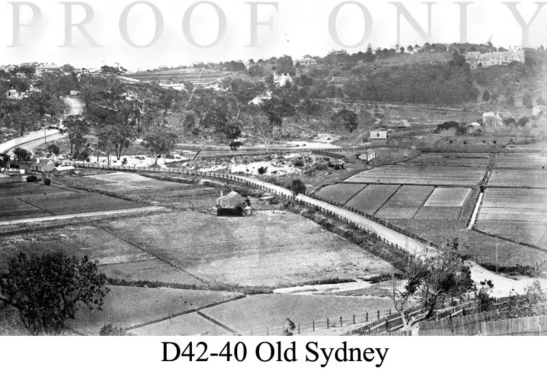 Old SydneyD42-40.jpg