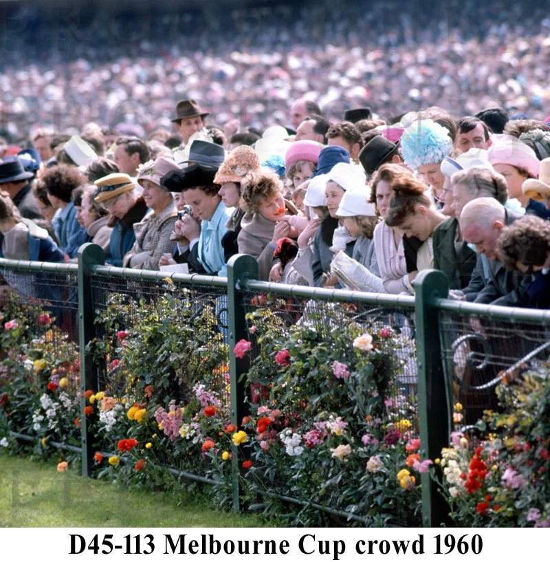 D45-113 Melb Cup Day 1960.jpg
