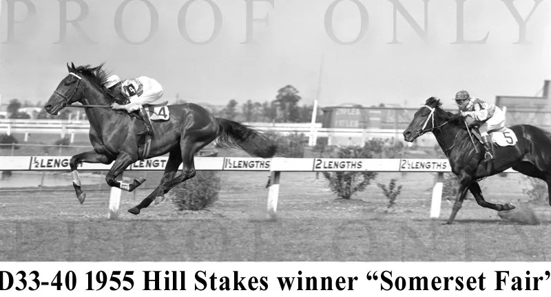 Somerset Fair D33-40.jpg