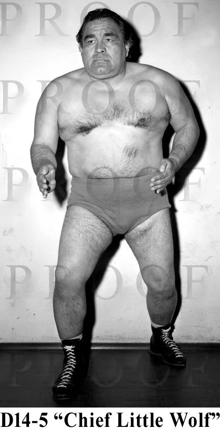 D14-5 Chief Little Wolf.jpg