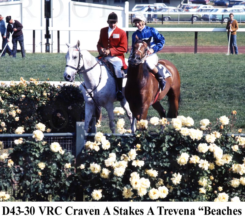 Craven A Stakes Beaches D43-30.jpg