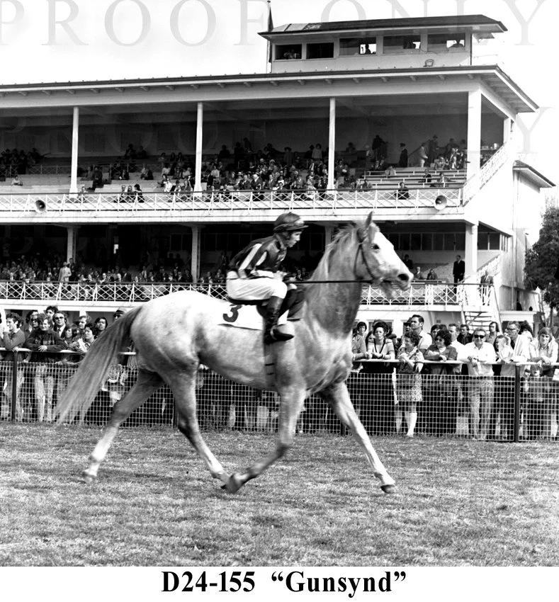 D24-155 Gunsynd.jpg