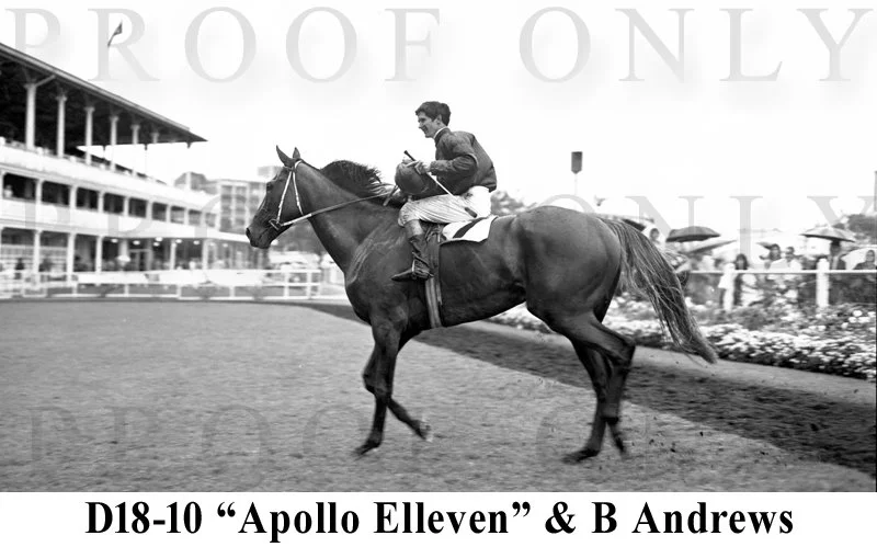 D18- 10 Apollo Eleven.jpg