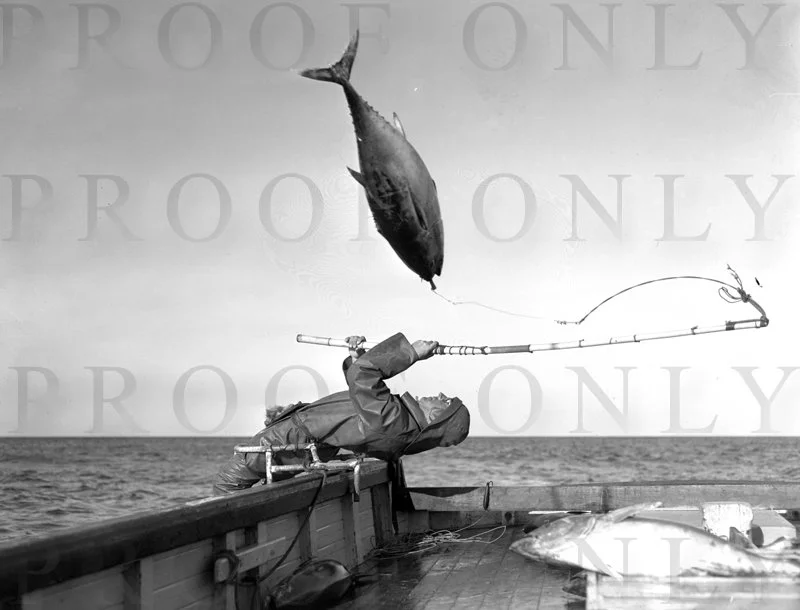 D16-5 Tuna Fishing