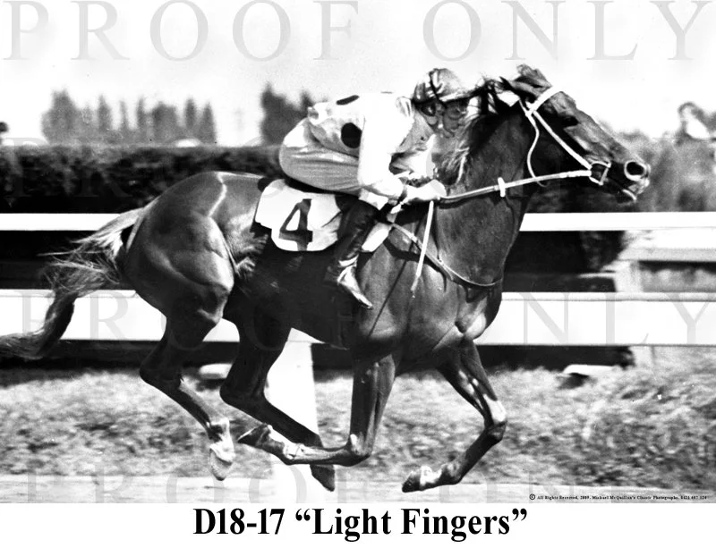 D18- 17 Light Fingers.jpg