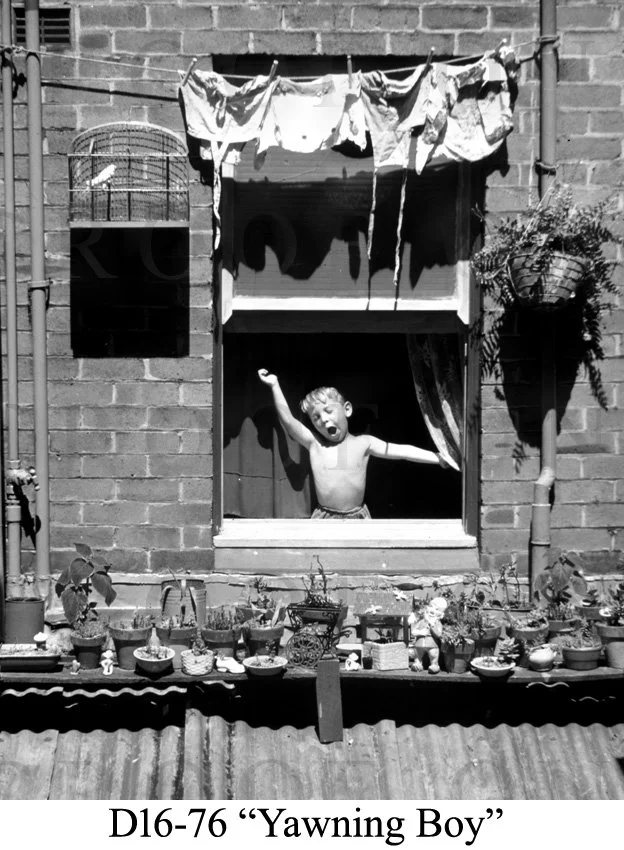 D16-76 Yawning Boy.jpg