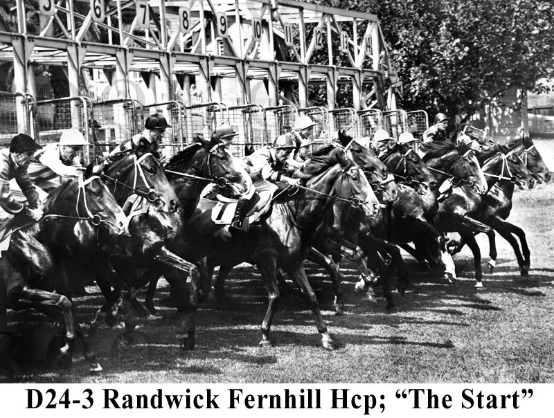 D24-3 The Start Fernhill Handicap Randwick.jpg