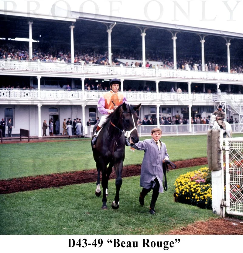 Beau Rouge D43-49.jpg